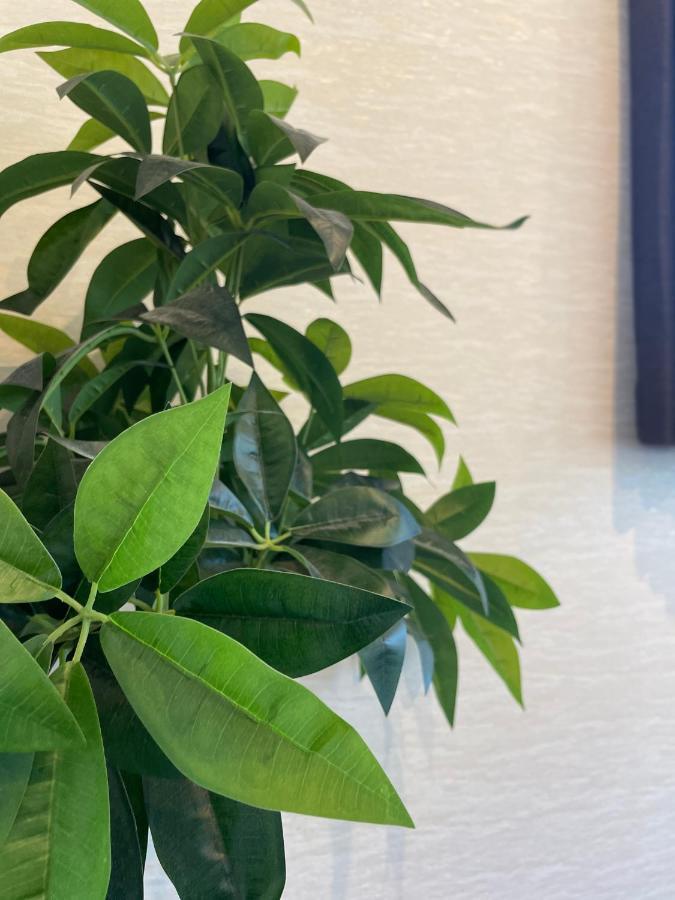 Niseko Hotel Kiraku Kou المظهر الخارجي الصورة
